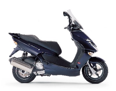 leonardo250